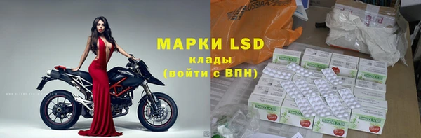 spice Елизово