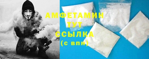 молекула духа Ельня