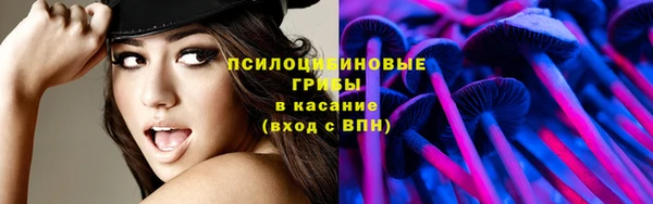 молекула духа Ельня