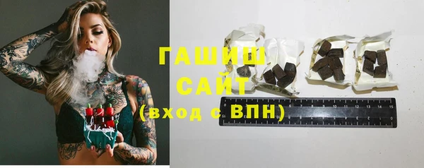 молекула духа Ельня