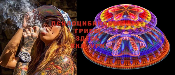 spice Елизово