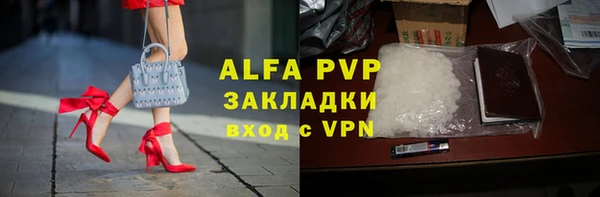spice Елизово