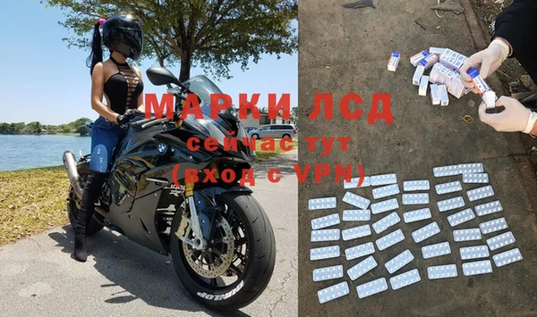 молекула духа Ельня
