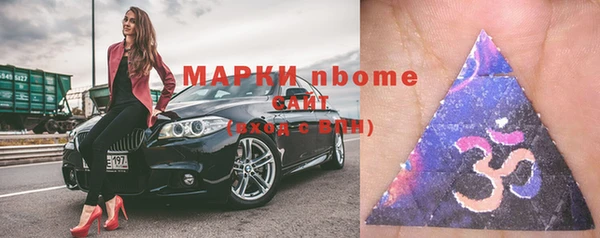 молекула духа Ельня