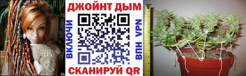 Купить  Канаш  Шишки марихуана конопля 